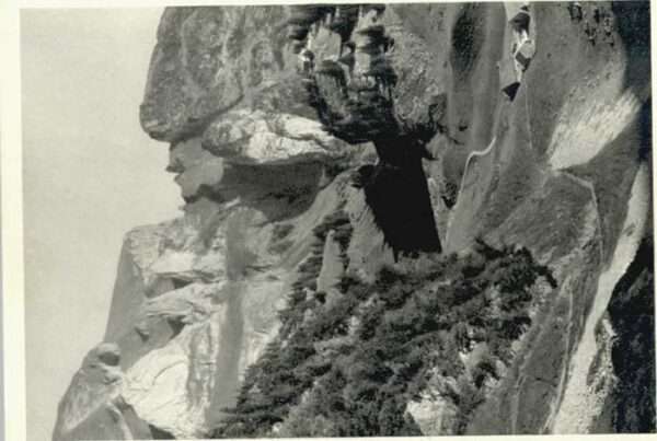 Hoher Kasten Saxer Lücke