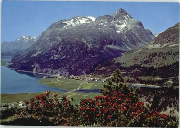 Silvaplana