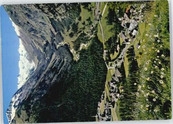 Pontresina Piz Tschierva Sellagruppe