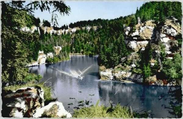Bassins