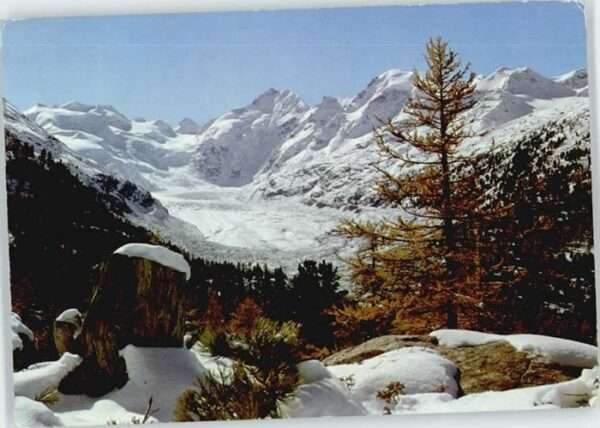Bernina Morteratschgletscher