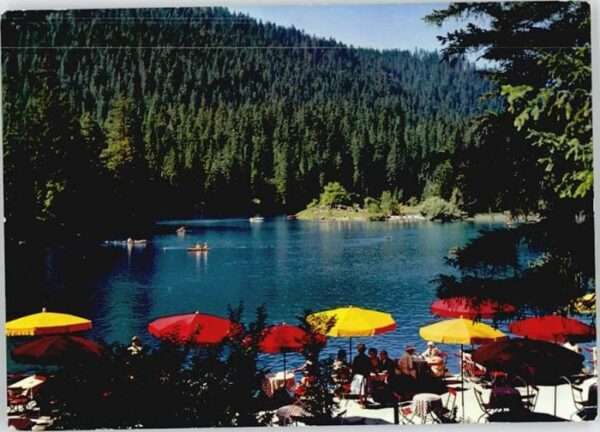 Flims Waldhaus Terassen Restaurant Caumasee