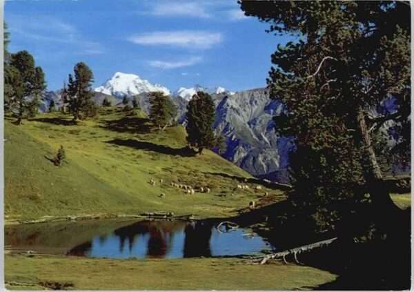 Muestair