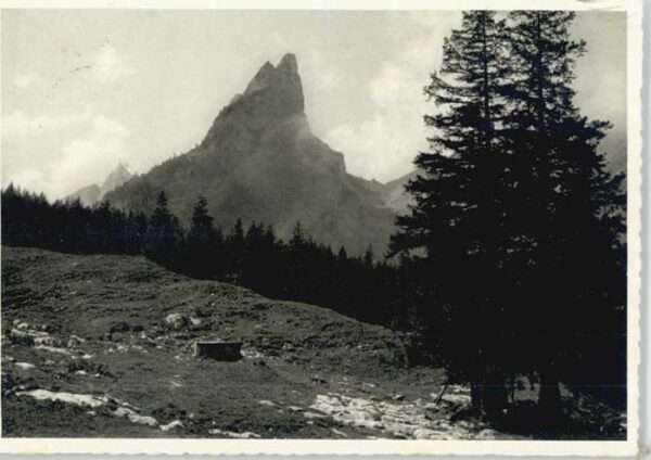 Zollikerberg [Stempelabschlag]Hundstein
