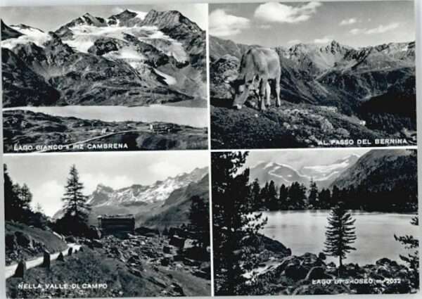 Bernina Valle di Campo