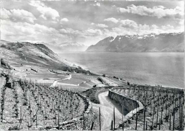 Cully VD Cully Lac Leman