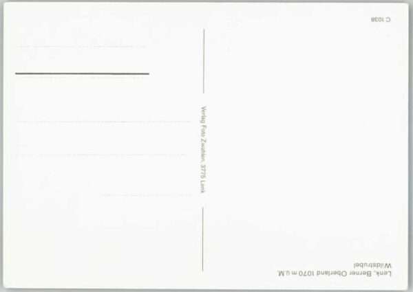 Lenk Simmental – Bild 2
