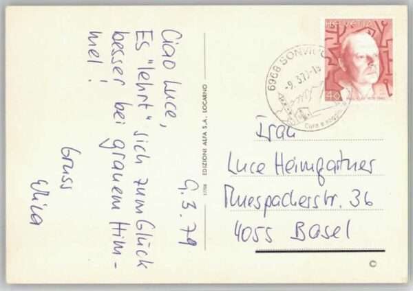 Dino – Bild 2