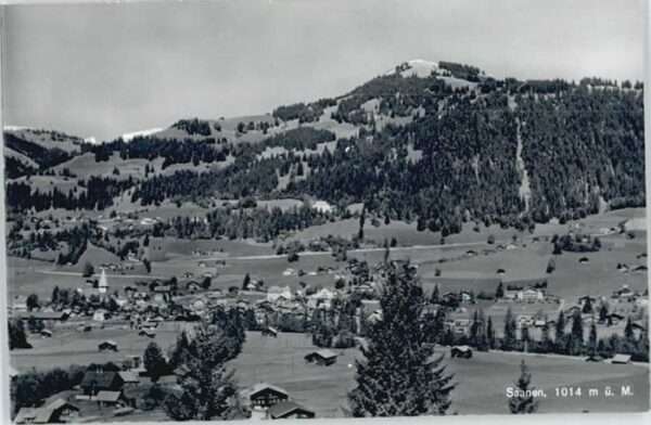 Saanen