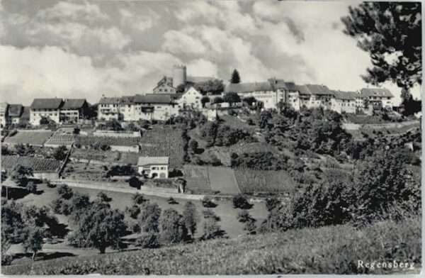 Regensberg Dielsdorf ZH Regensberg