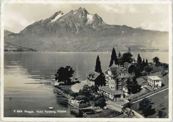 Weggis Vierwaldstaettersee Weggis Hotel Felsberg