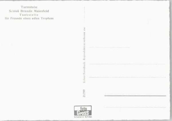 Maienfeld Schloss Brandis – Bild 2