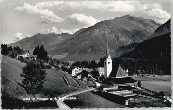 Wald Pinzgau