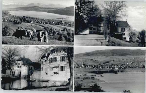 Seengen Hallwilersee