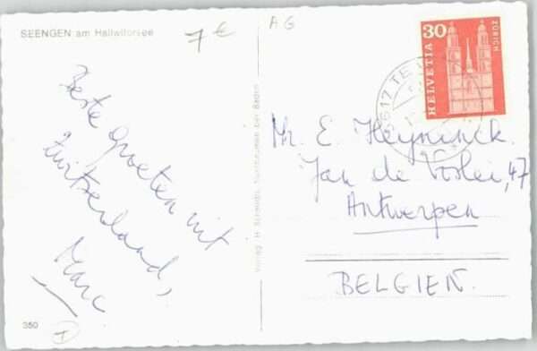 Seengen Hallwilersee – Bild 2