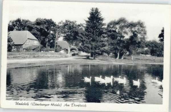 Undeloh Teich