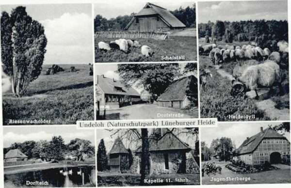 Undeloh Dorfstrasse Jugendherberge Kapelle
