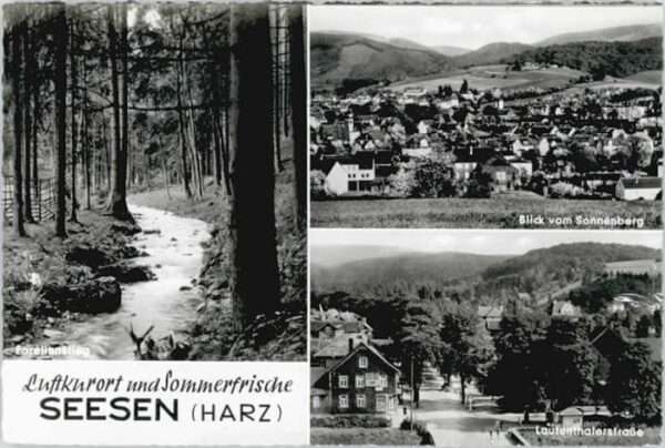 Seesen Harz Seesen Forellenstieg Lautenthalerstrass