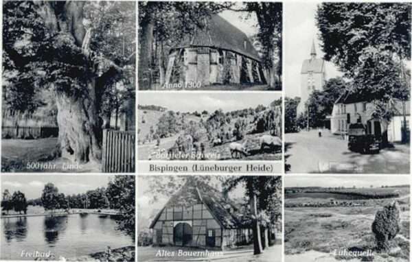 Bispingen Anno 1300 Luhequelle