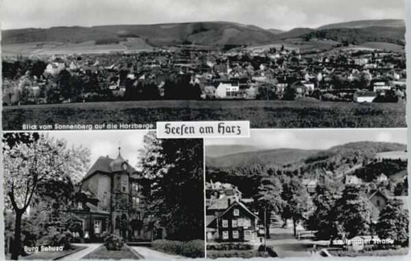 Seesen Harz Seesen Burg Sehusa Lautentaler Strasse