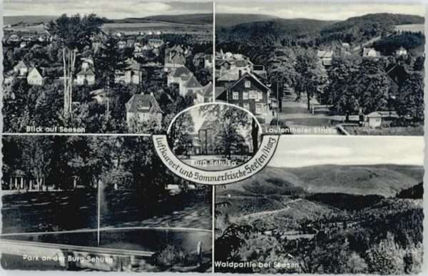 Seesen Harz Seesen Burg Sehusa Lautenthaler Strasse