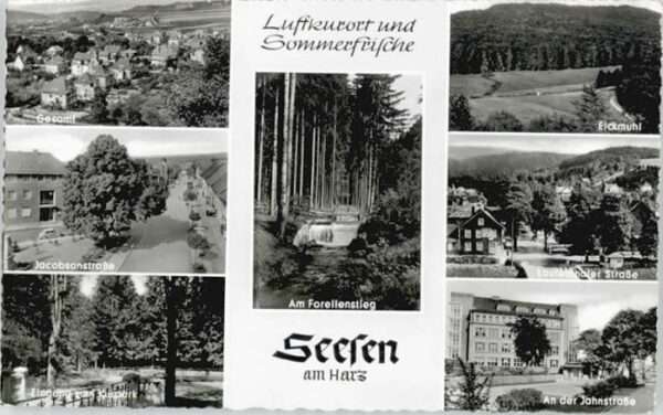 Seesen Harz Seesen Forellenstieg Lautenthalerstrass