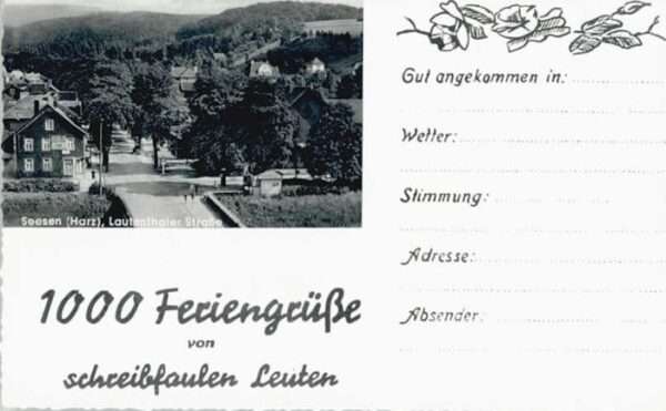Seesen Harz Seesen Lauthentaler Strasse