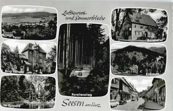 Seesen Harz Seesen Forellenstieg Burg Sehusa Eickmu