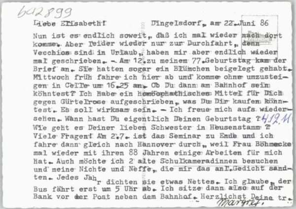 Bodensee Camping Klausenhorn – Bild 2