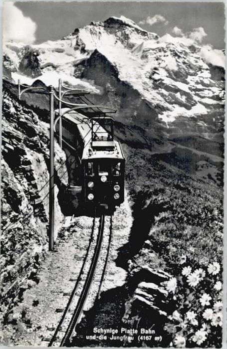 Schynige Platte Jungfrau