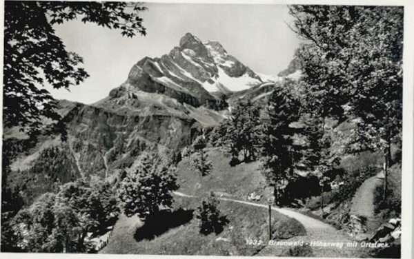 Braunwald GL Braunwald