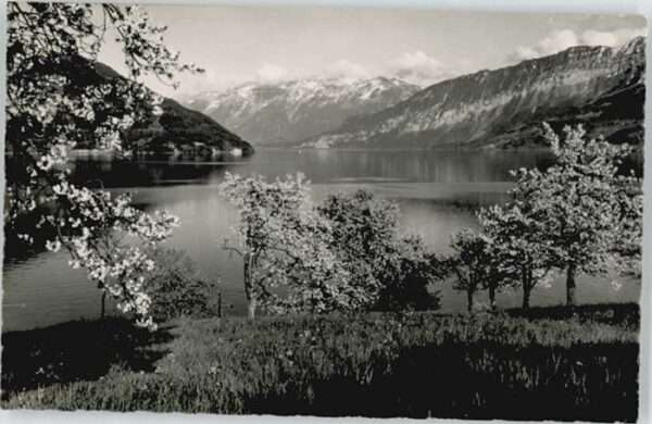 Faulensee