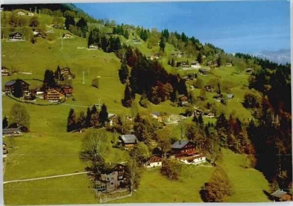 Braunwald GL Braunwald