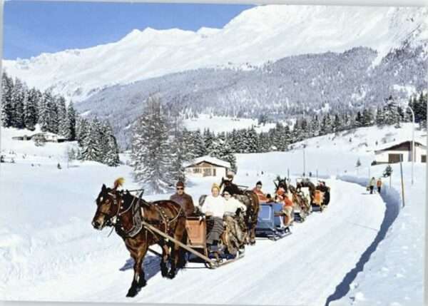 Lenzerheide GR Lenzerheide Pferde Schlittenfahrt