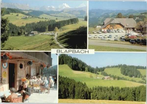 Trubschachen Restaurant Blapbach