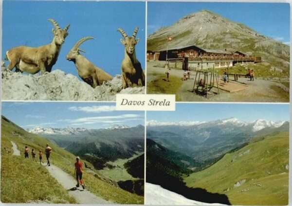 Davos GR Davos Berghaus Strelapass