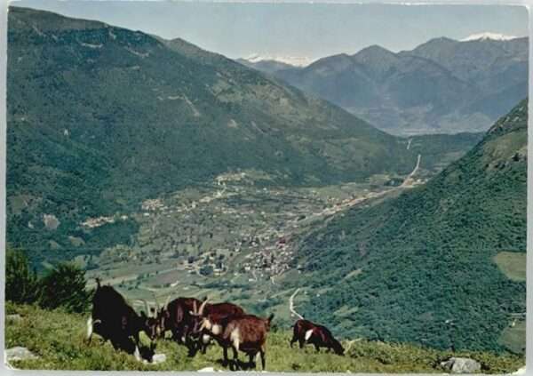 Lugano TI Lugano Gola Di Lago