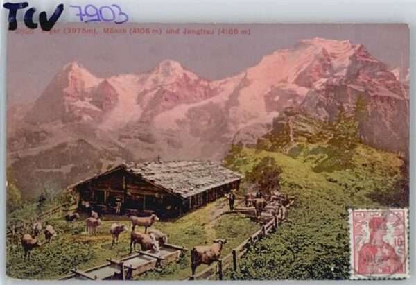 Moench BE Mönch Eiger Jungfrau