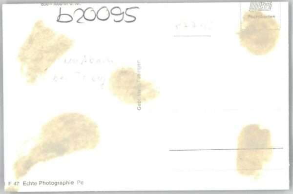 Nussbach Schwarzwald Nussbach [Handschriftlich] Gästehaus Wi – Bild 2
