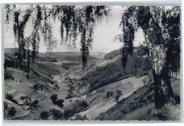 Nussbach Schwarzwald Nussbach