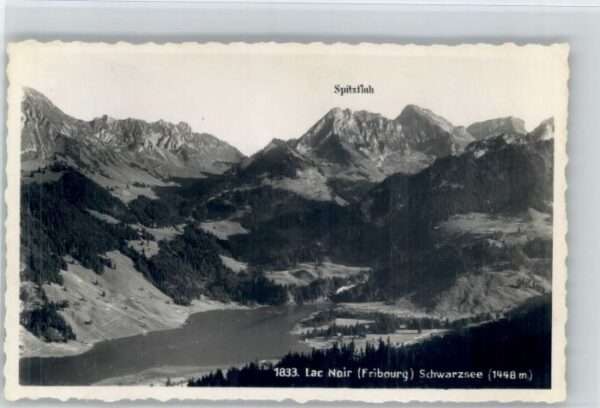 Schwarzsee Hotel Restaurant Gypsera