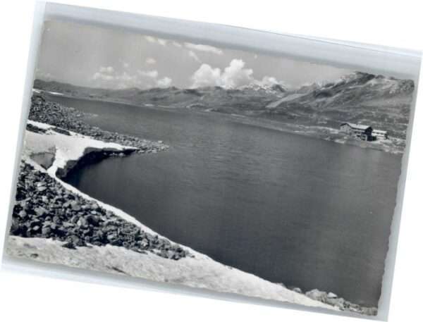 Flueela