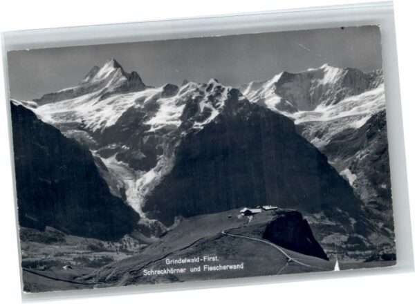 Grindelwald Schreckhörner Fiescherwand