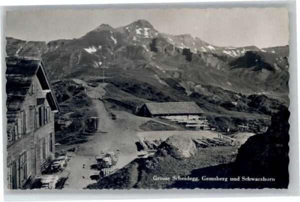 Grosse scheidegg Gemsberg Schwarzhorn