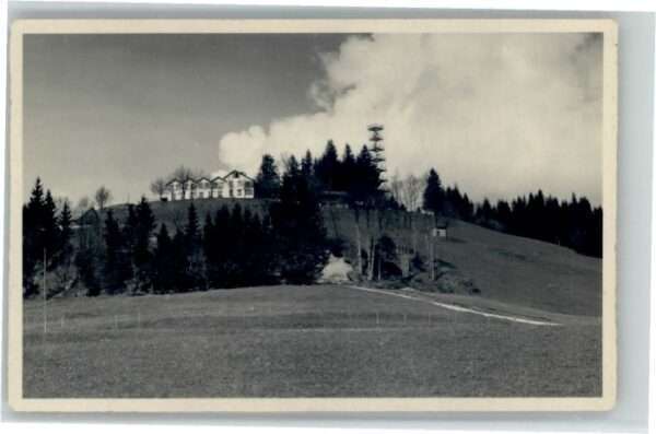 Bachtel Kulm Bachtel