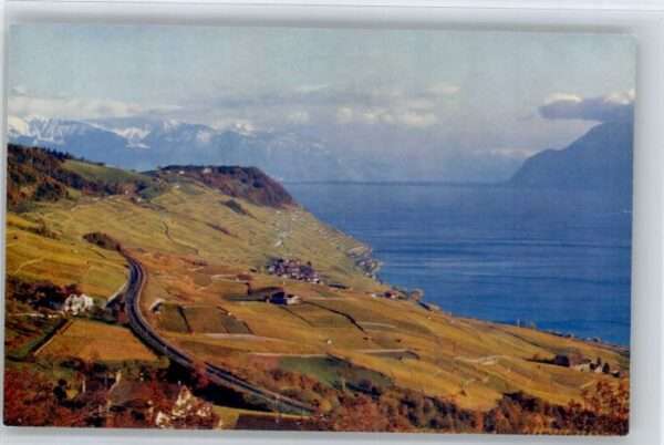 Lausanne VD Lausanne Lavaux
