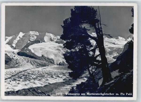 Morteratsch