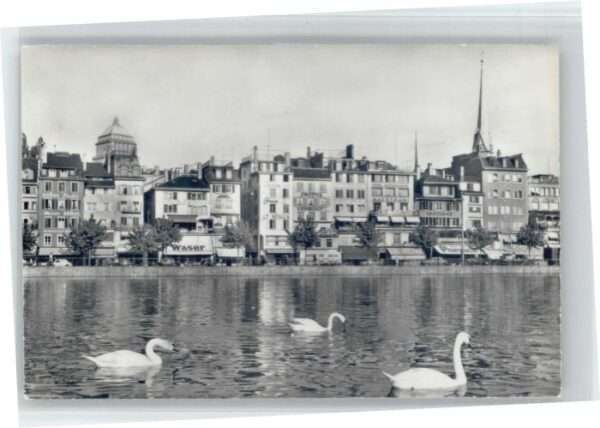 Zuerich immatquai