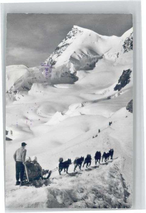 Jungfraujoch Rottalhorn Polarhunde