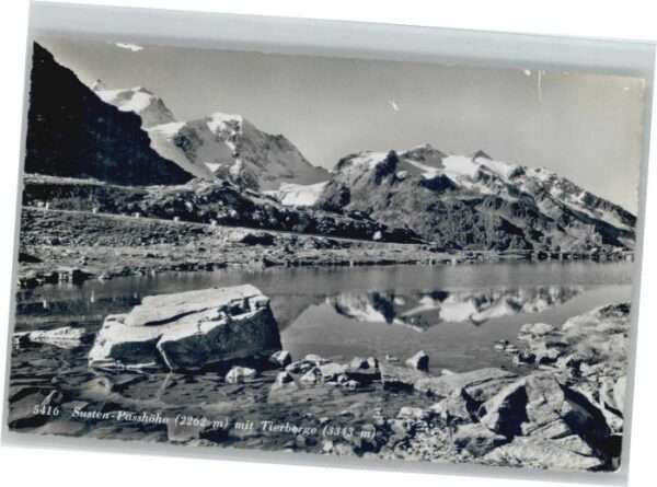 Susten Passhöhe Tierberge